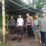 Cegah Penyebaran Rabies, Tim Eliminasi Bangka Nekang Musnahkan Anjing Liar Positif Rabies di Wae Palo IMG-20251128-WA0018