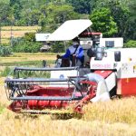Modernisasi Pertanian Manggarai: Hemat Biaya 60 Persen dan Incar Petani Milenial 1780023182940