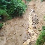 Jalur Trekking Tertutup Longsor, Dinas Pariwisata Manggarai Tutup Sementara Akses Wae Rebo IMG-20260515-WA0041